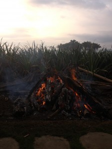 Heating up the 'Abuelitas'